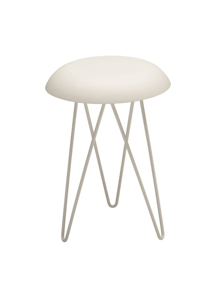 Meduse