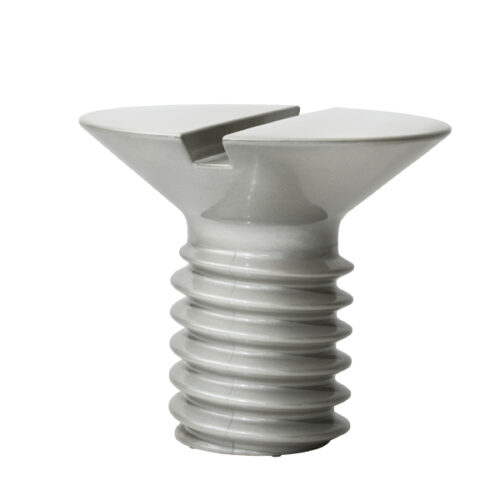 Screw