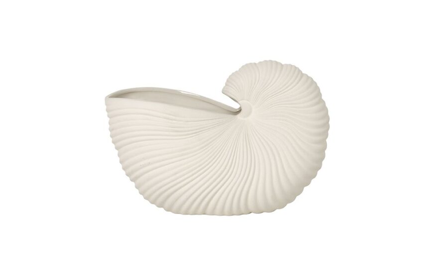 Shell
