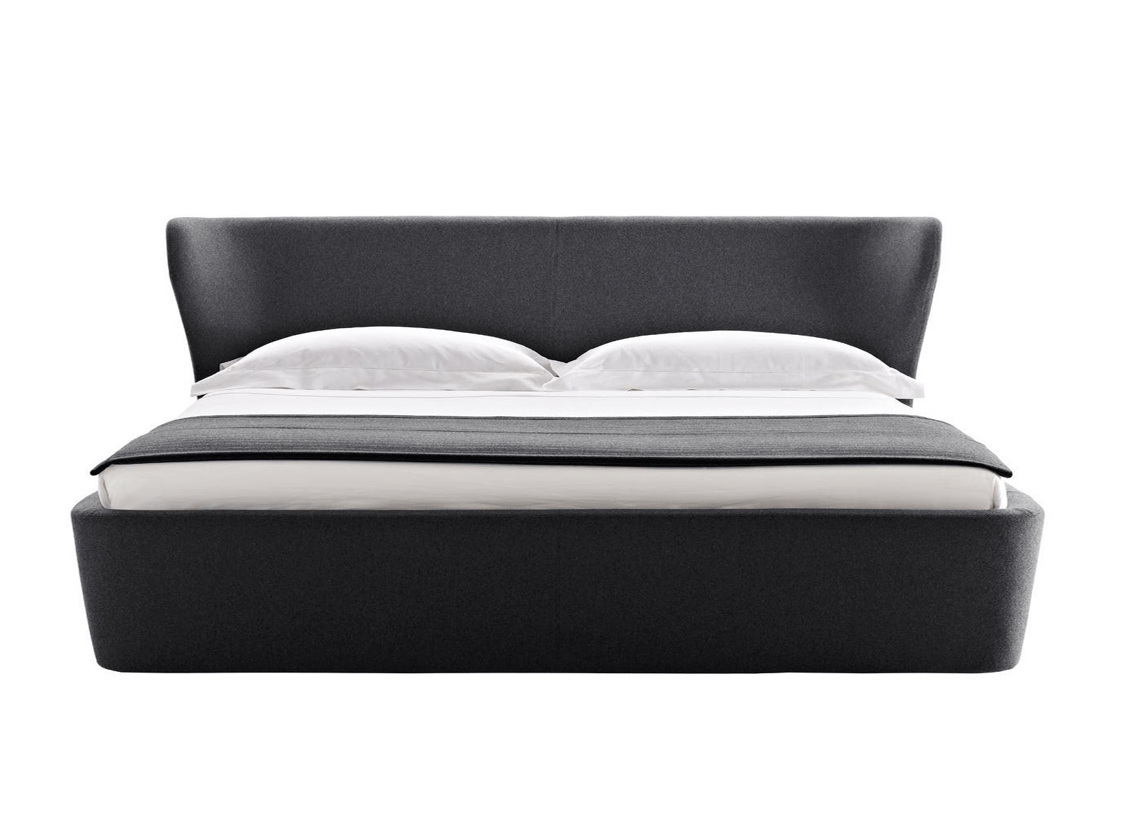 Papilio letto