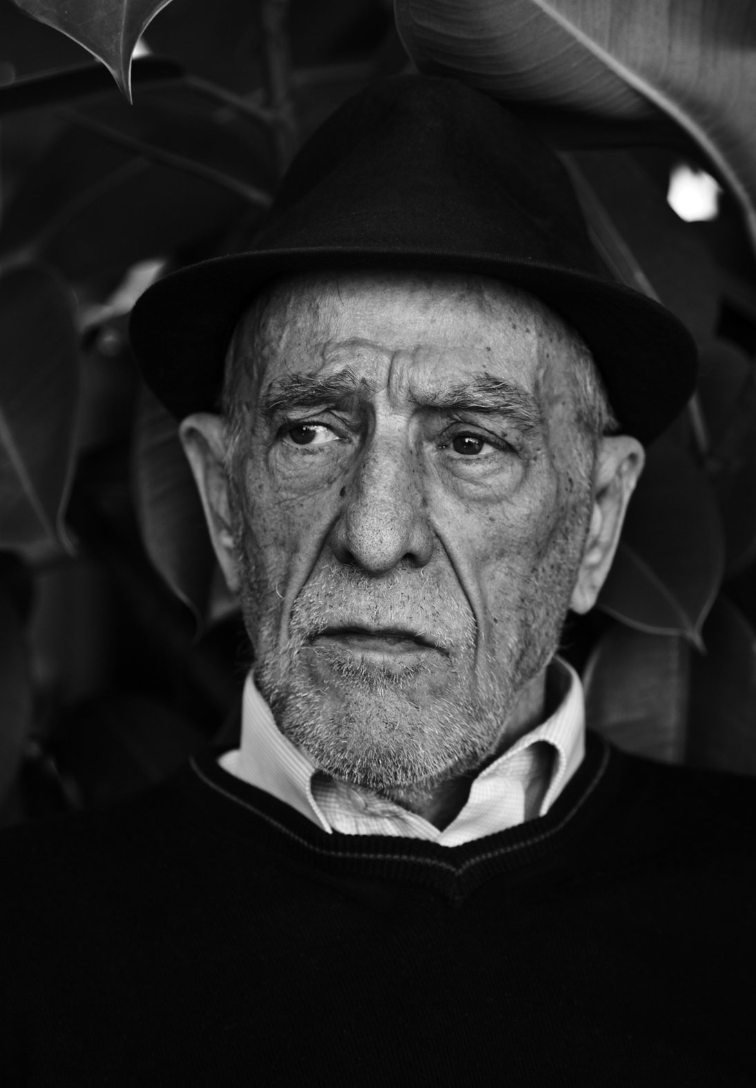 Lluis Porqueras