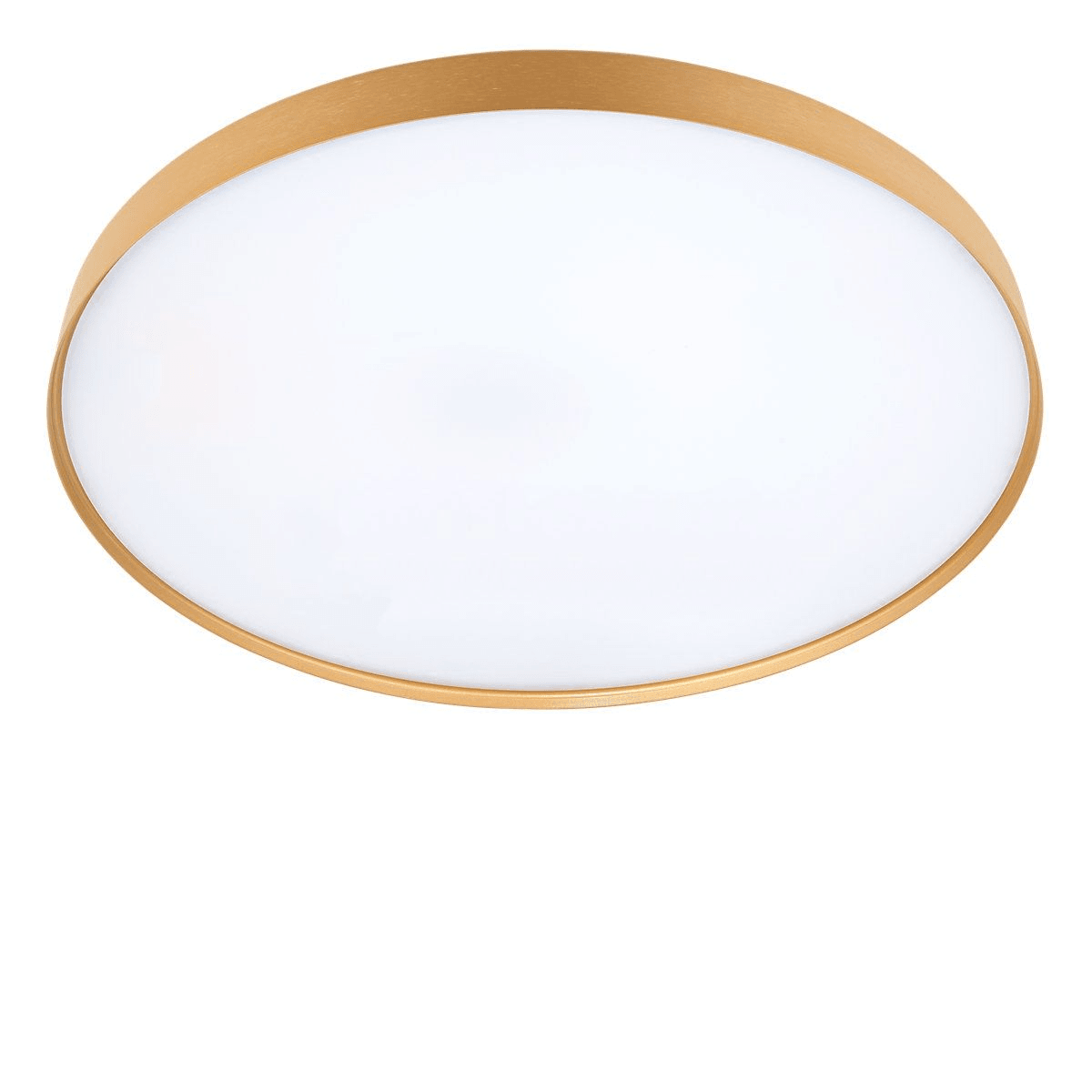 Compendium Plate