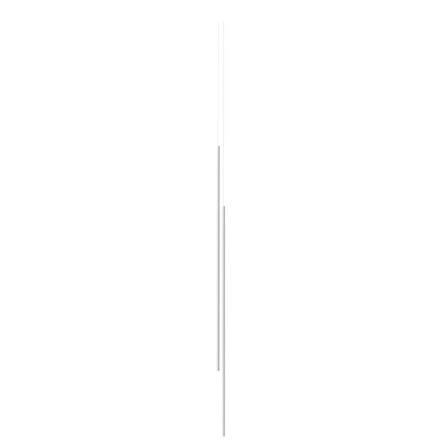 MY LINES
