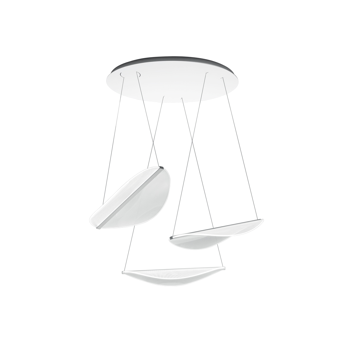 Diphy suspension