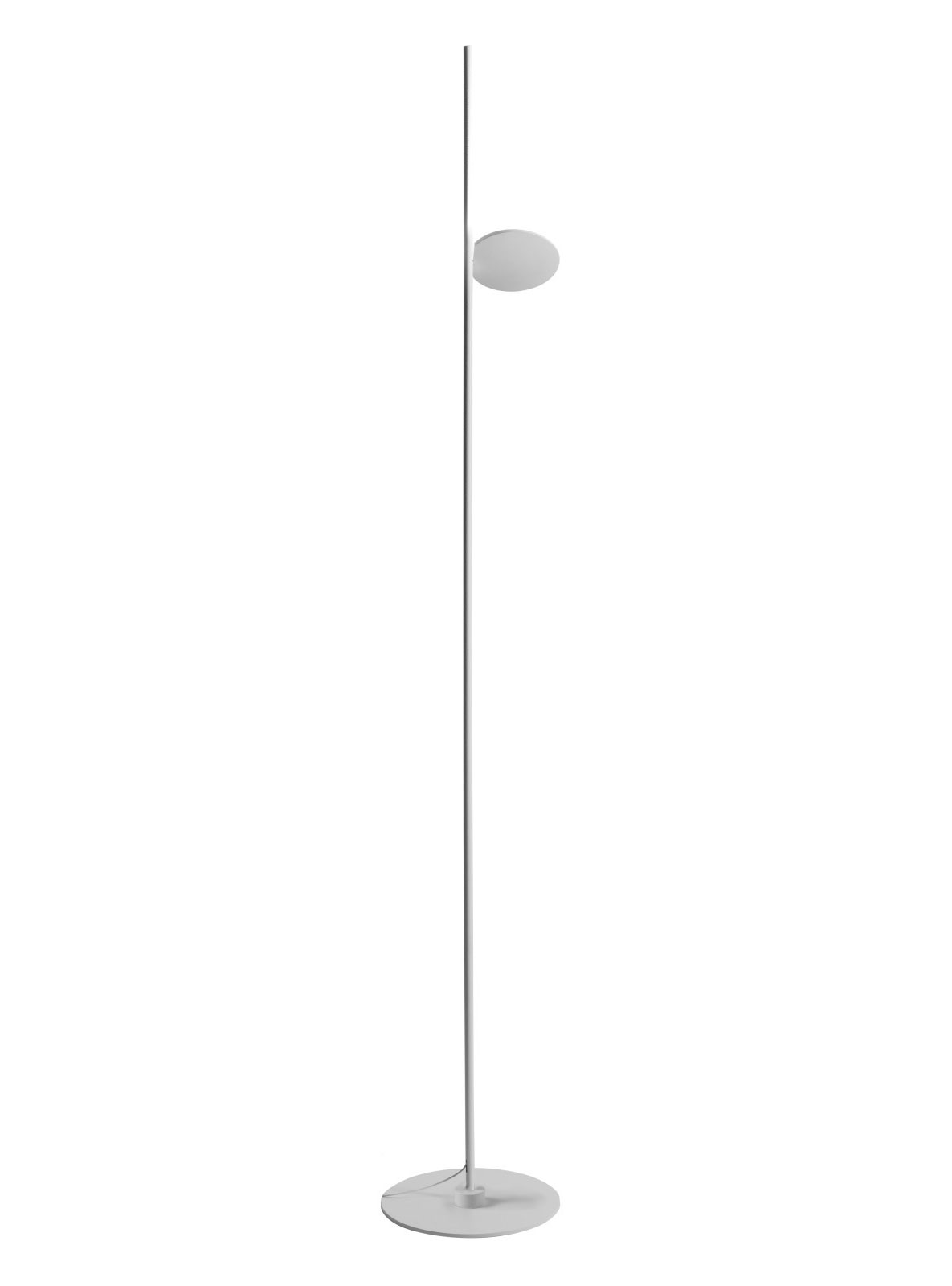 Kimia Floor