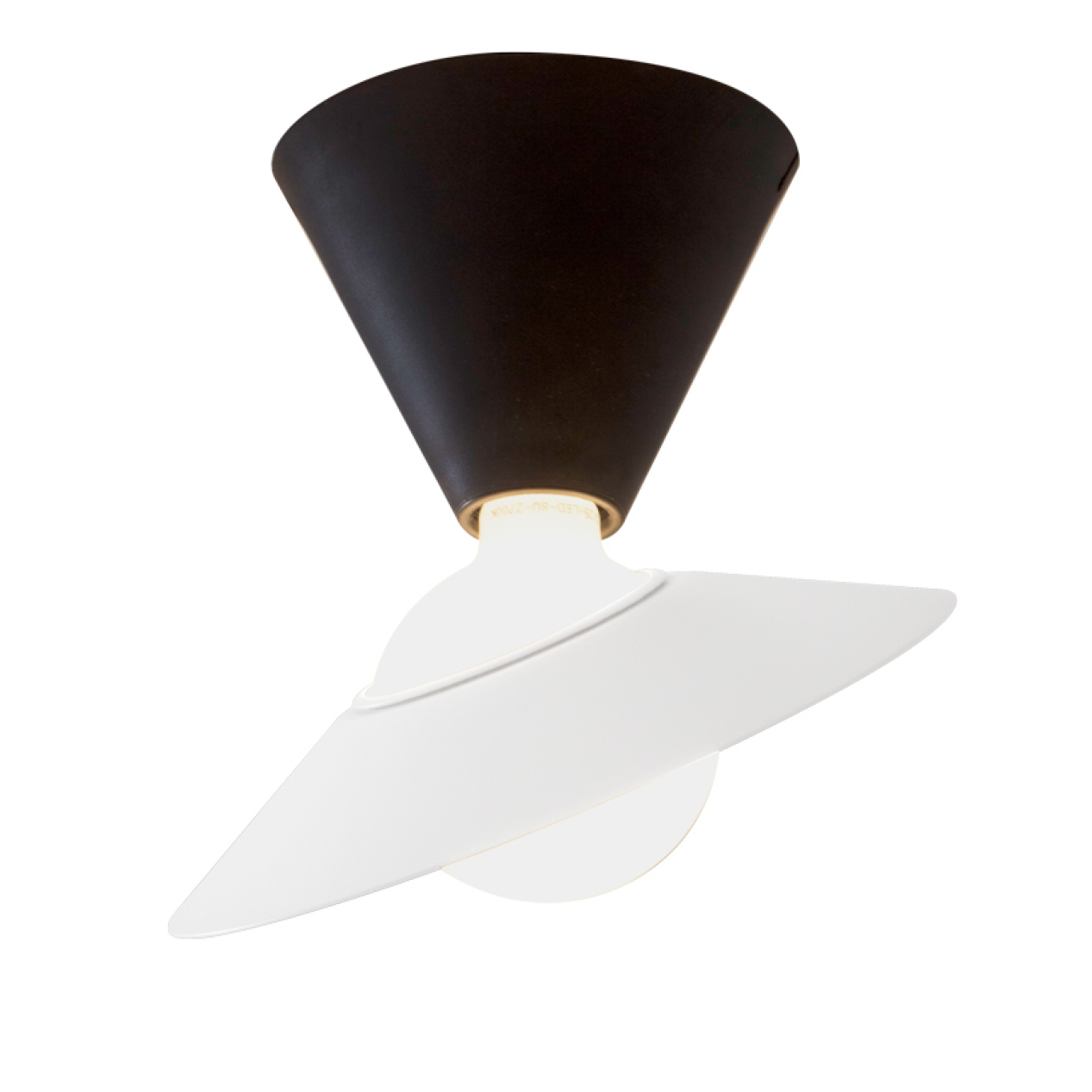 Fante ceiling