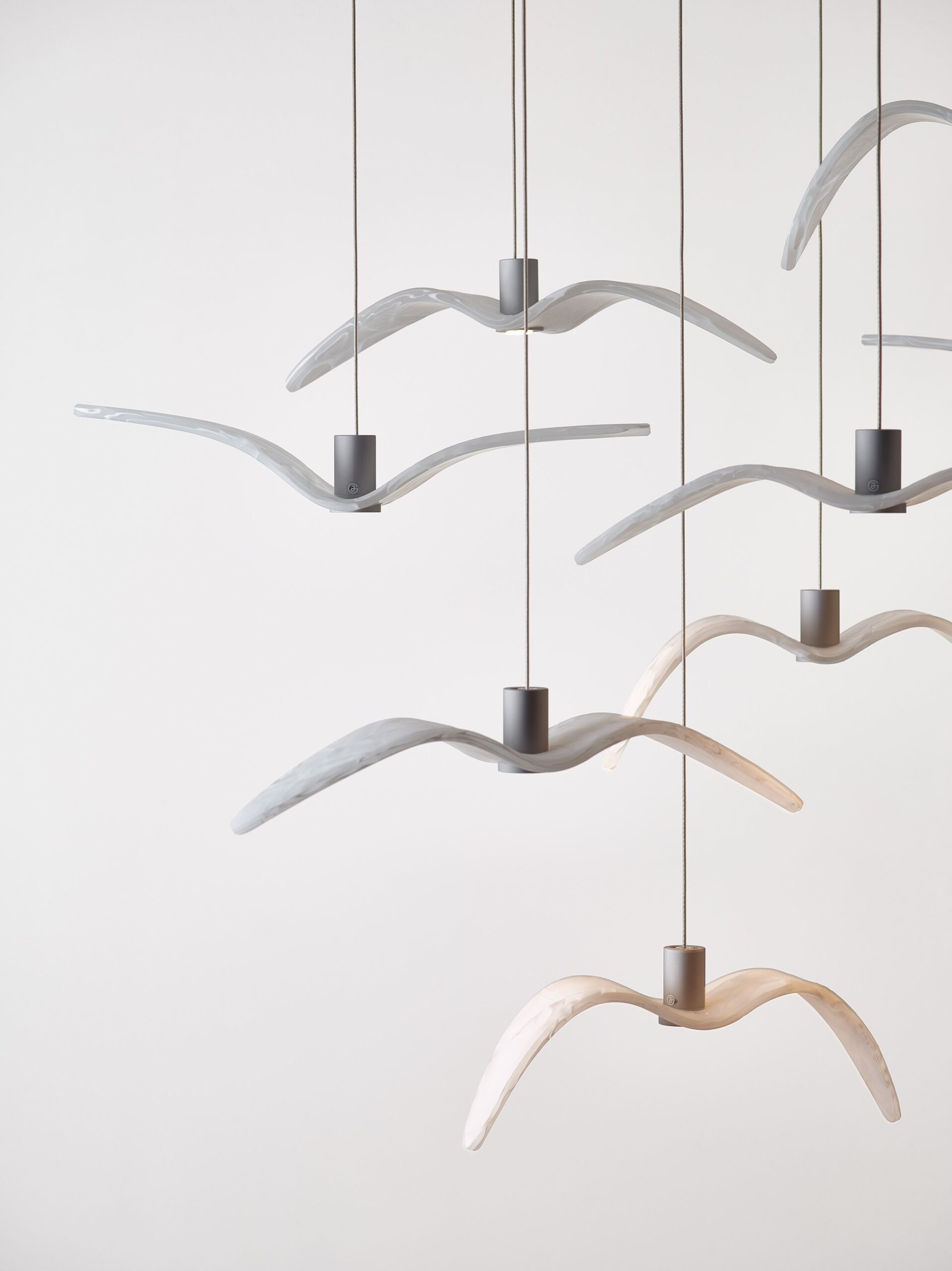 Night Birds
