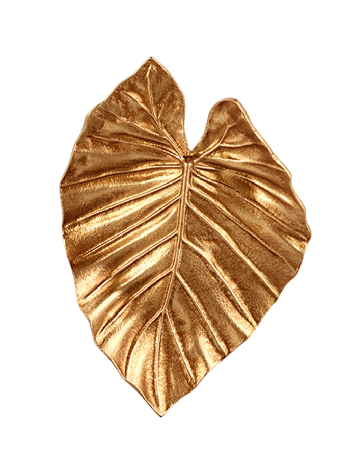Calathea Leaf Twisted