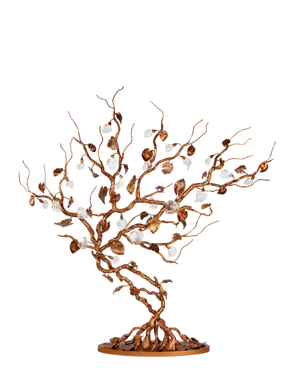 Calathea Tree of Life
