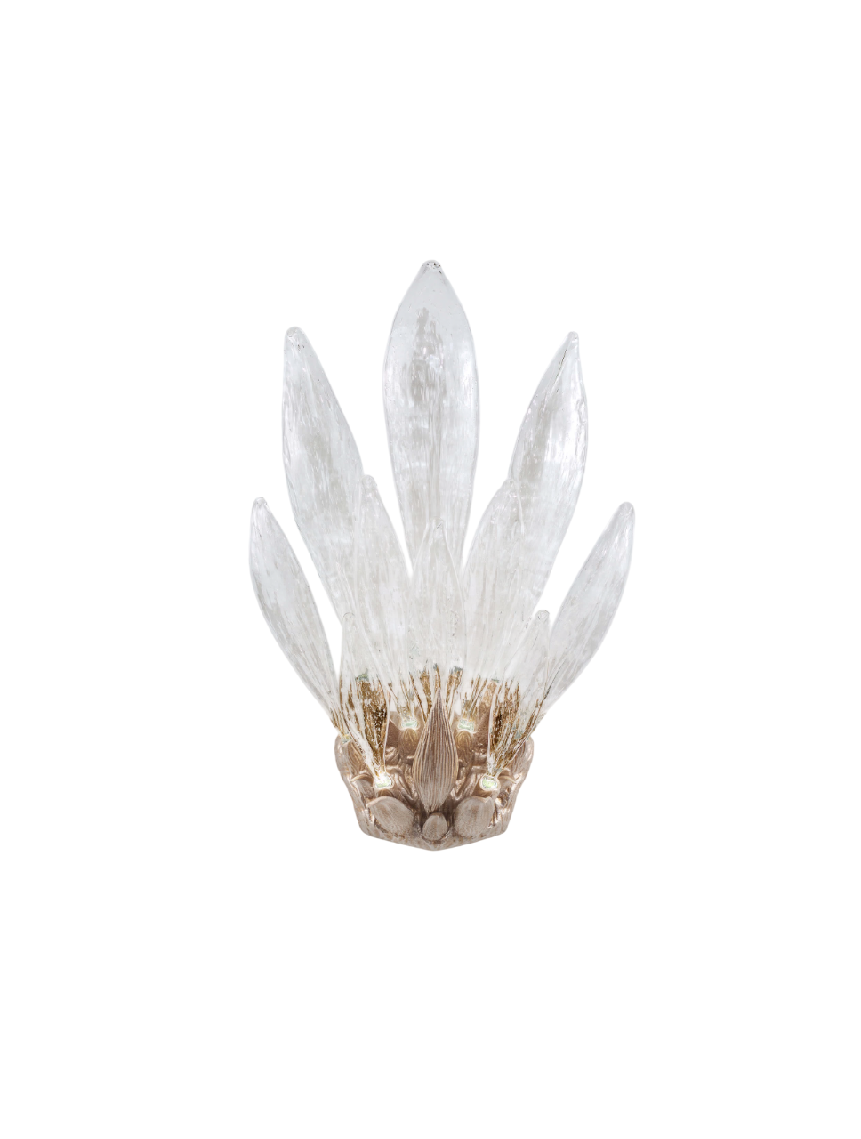 Dandelion Chrysalis Dark