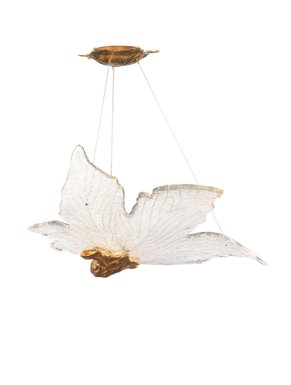 Folio Suspension Palm