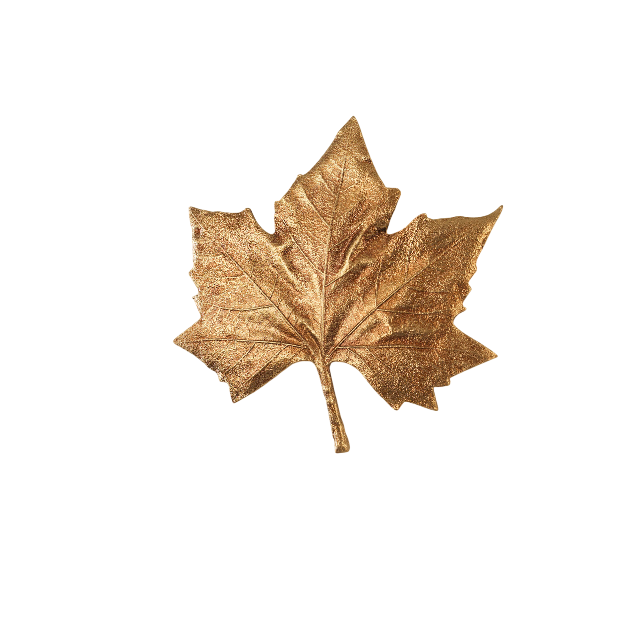 Folio Leaf