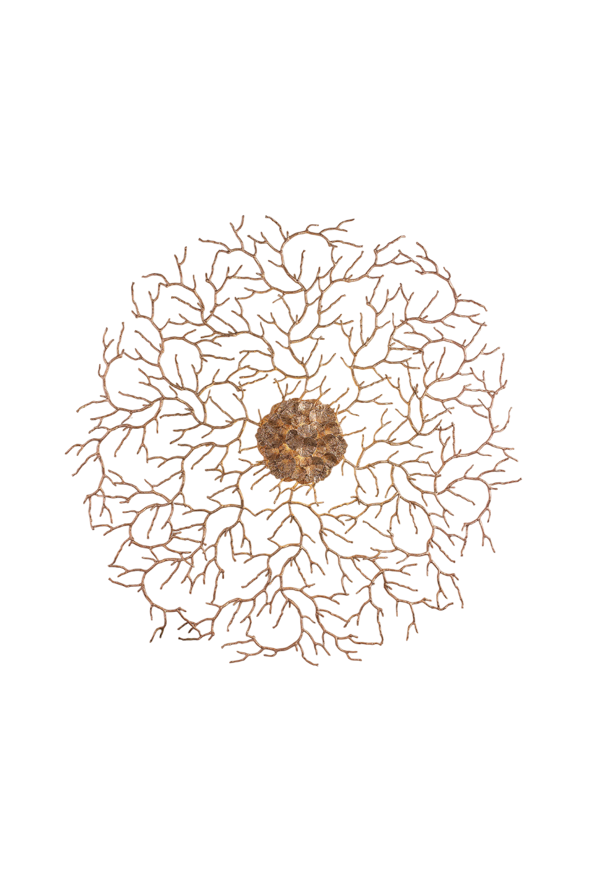 Coral Zoa Eye