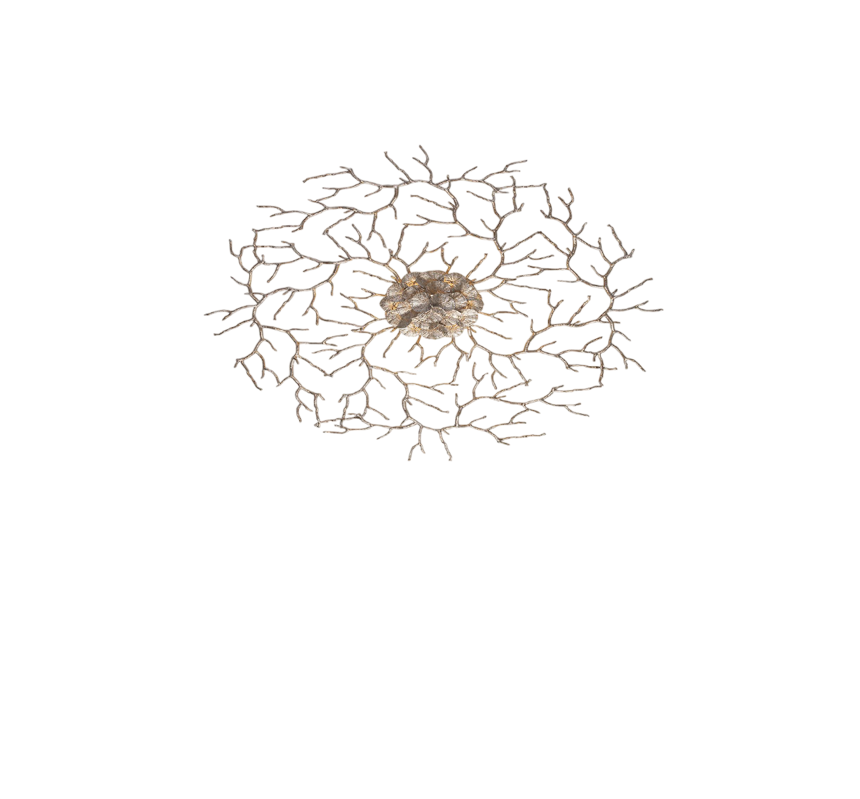 Coral Zoa Eye ceiling