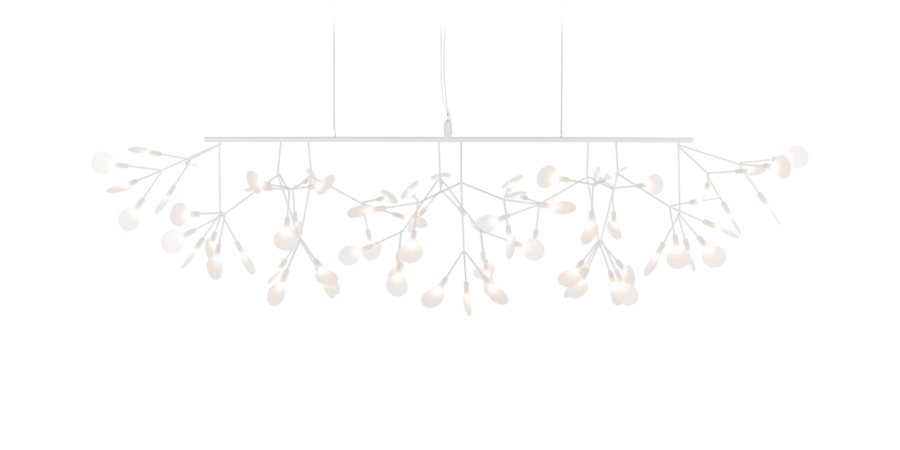 Heracleum III Linear