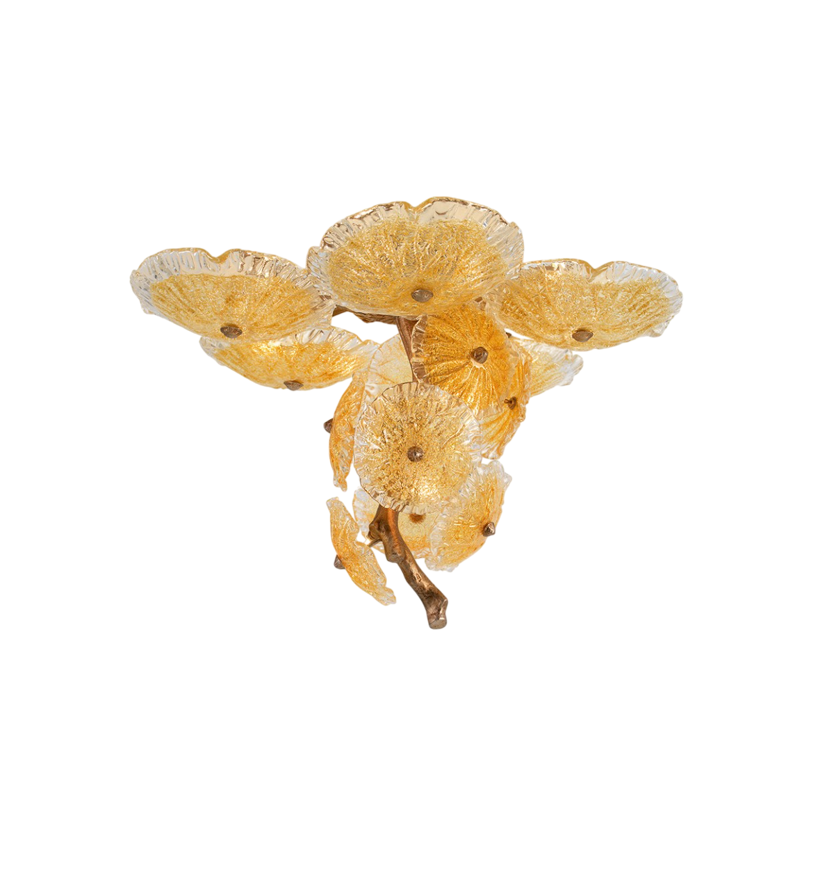 Nenufar Lutea
