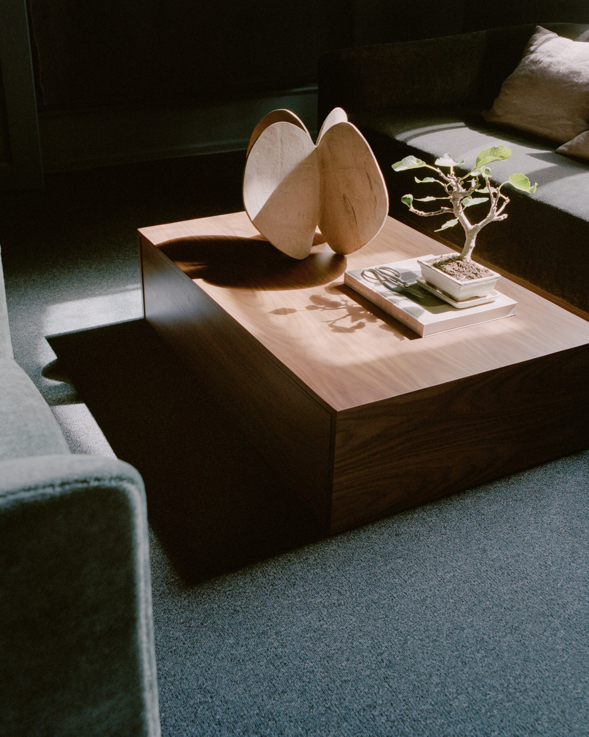 Mass Coffee Table