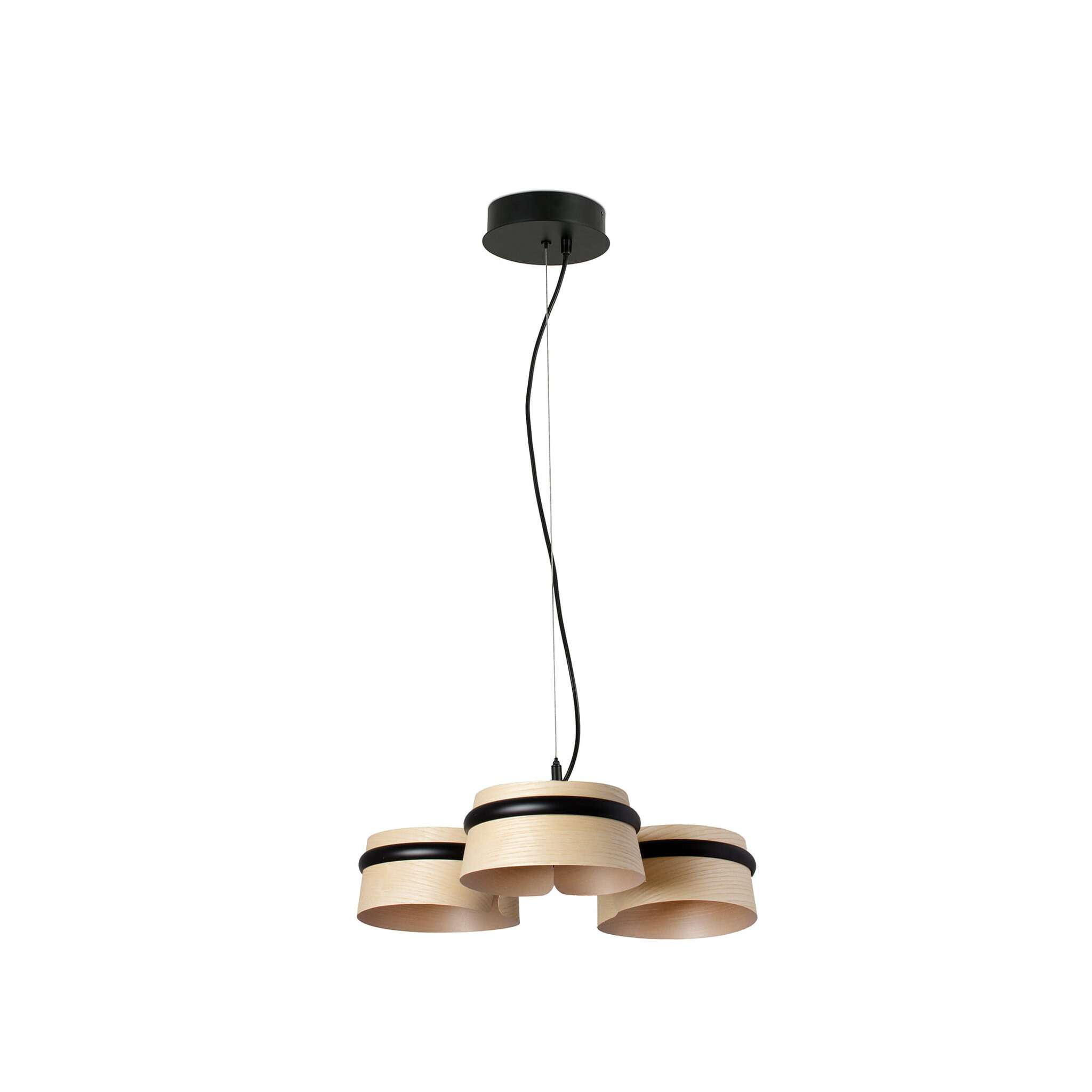 LOOP pendant lamp